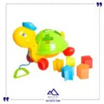 لاک پشت اشکال توری گنش