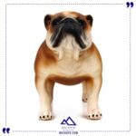 بول داگ تیره مک توی