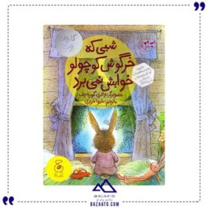 شبی-که-خرگوش-کوچولو-خوابش-نمیبرد